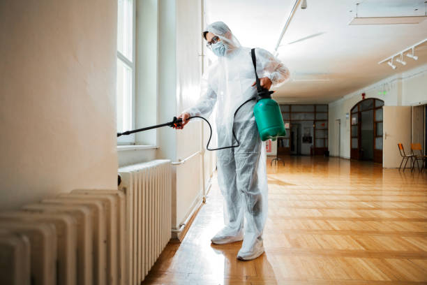 Best Wasp Removal Services  in Cache, OK