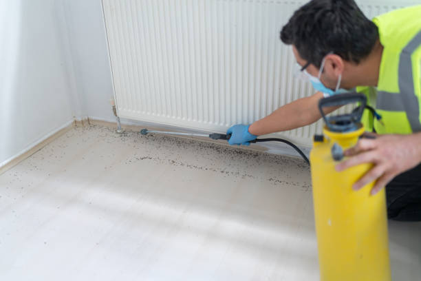 Best Mosquito Control Services  in Cache, OK