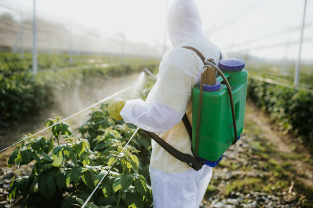 Best Local Pest Control Services  in Cache, OK